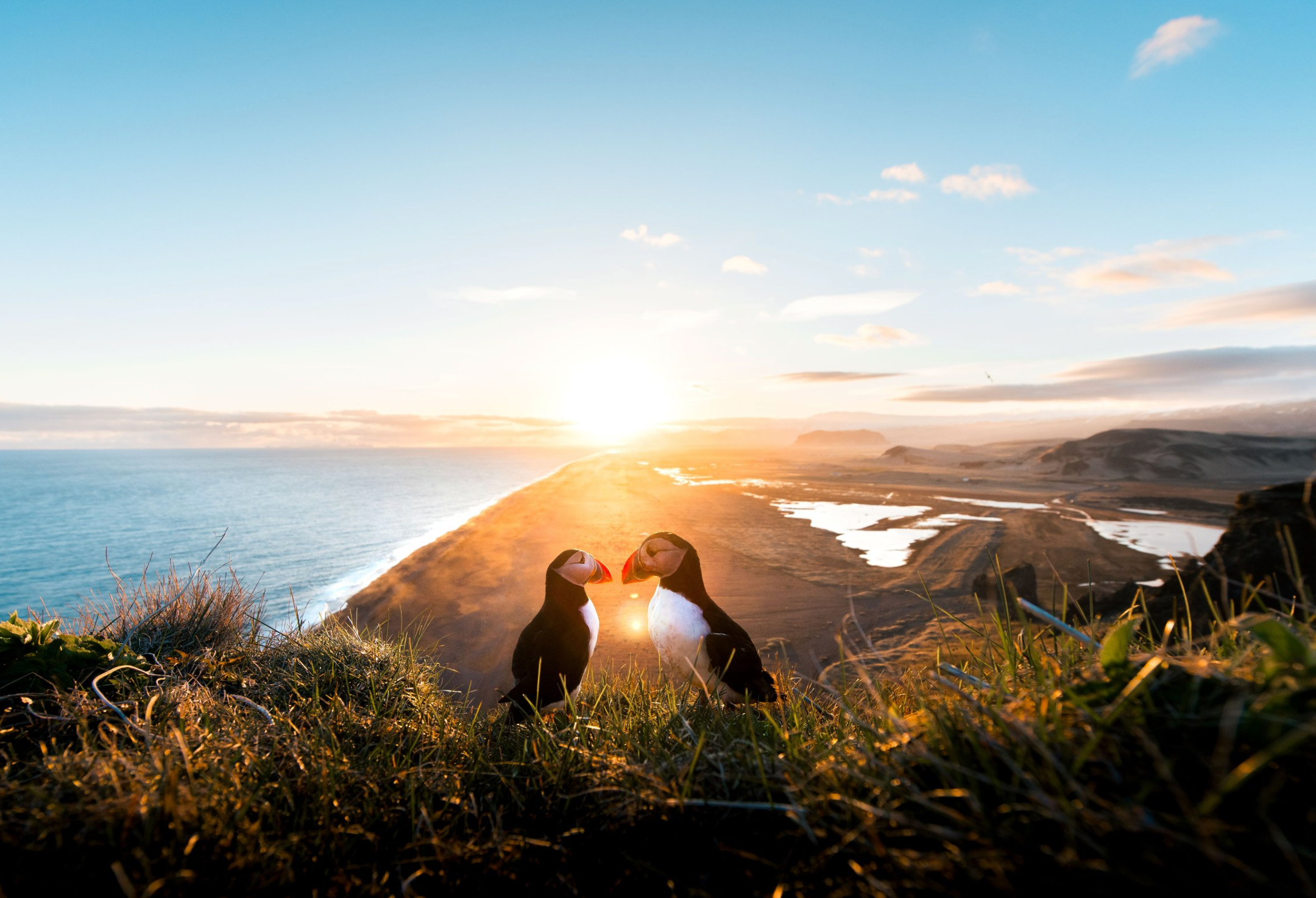 Photography Presets – The Editing Lab