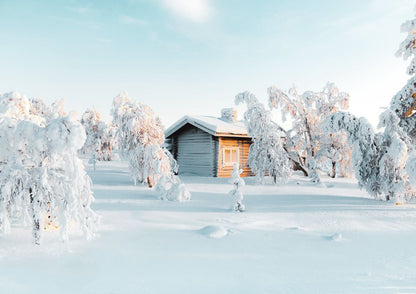Winter Wonderland